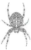 araignée