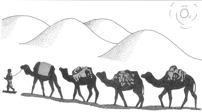 caravane de dromadaires