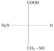 projection de Fischer