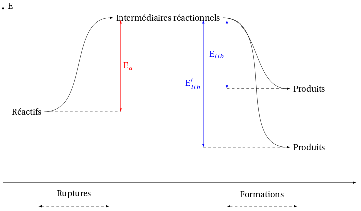 énergie d'activation lors d'une réaction chimique